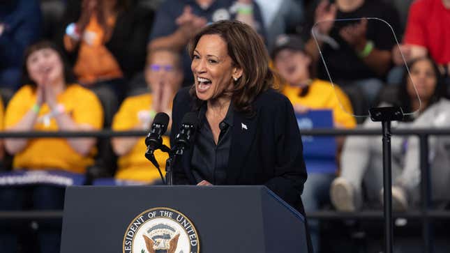 Democratic presidential nominee Vice President Kamala Harris speaks during a rally at the Dort Financial Center on October 04, 2024 in Flint, Michigan. 