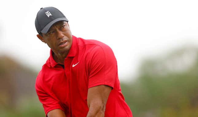 Image for article titled Tiger Woods Hit With Another Major Divorce, And I Have Some Feelings