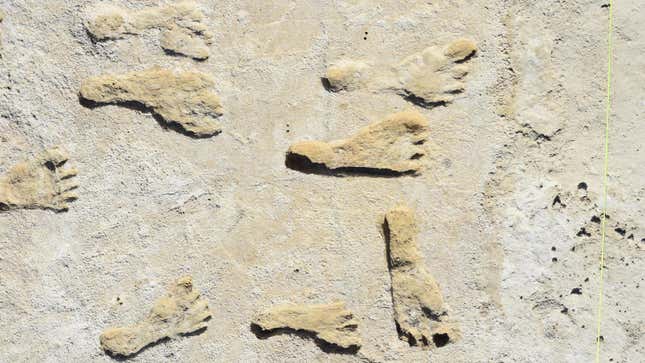 Fossilized human footprints at White Sands National Park in New Mexico.