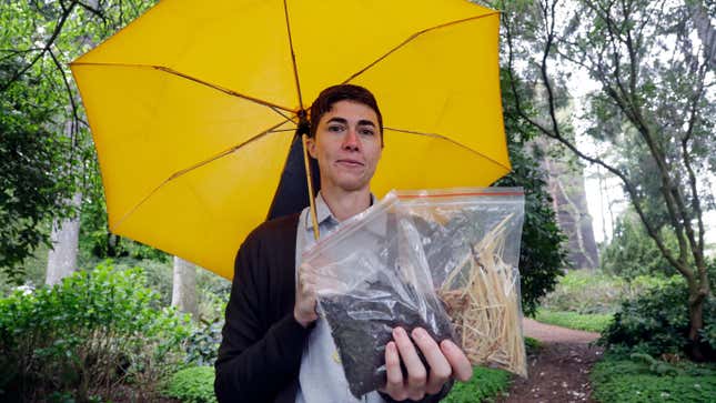 Katrina Spade, the founder and CEO of Recompose, displays a sample of the compost material left from the decomposition of a cow, left, and some of the combination of wood chips, alfalfa and straw used in the process.