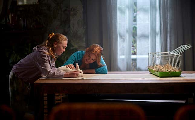 Image for article titled Wolf Like Me Shares a Season 2 Peek, Premiere Date, and New Cast Member