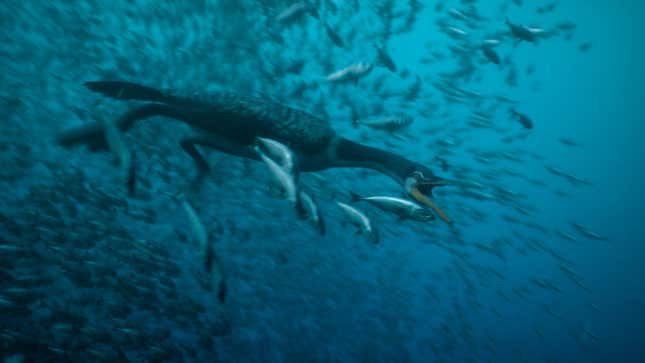 The wingless bird(!) Hesperornis, diving for a meal.