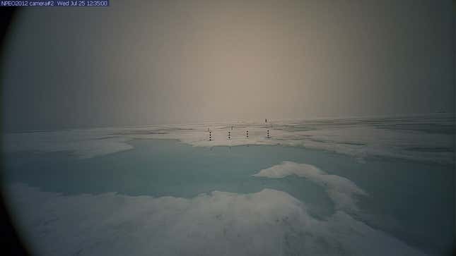 A still image from a North Pole webcam, operated jointly by the US and Japan.