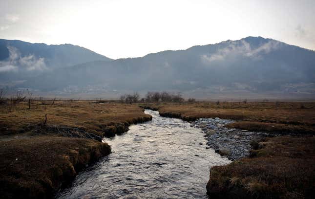 A stream runs through the Phobjikha Valley in Bhutan.