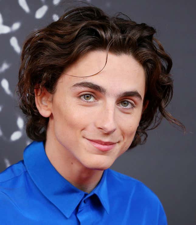 Timothée Chalamet | Actor, Archive Sound, Producer - The A.V. Club