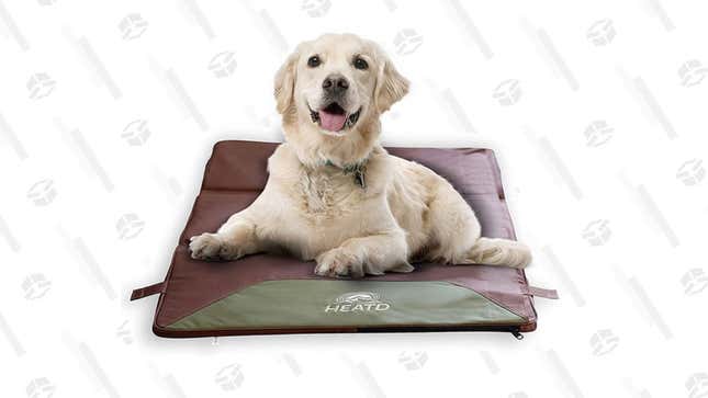 HEATD Dog Bed With Removable Heating Pad | $170 | StackSocial