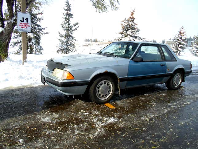 Image for article titled These Are Your Favorite Ford Mustangs