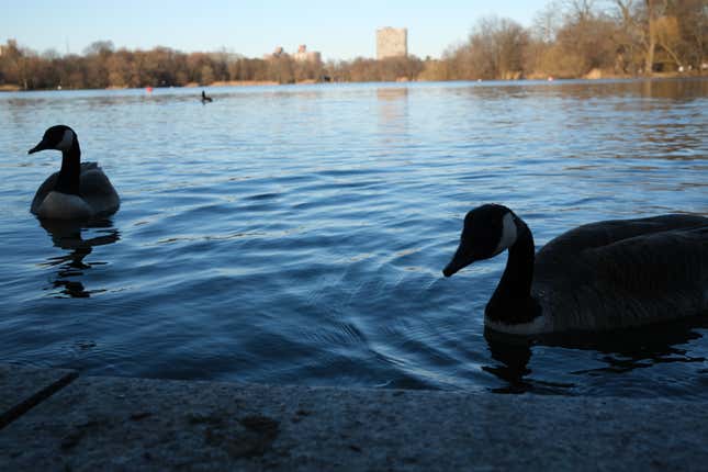 Image for article titled The Fujifilm X100VI Resurrected My Love for Photography