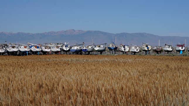 Sailboats that were hoisted out of the water sit in dry dock at the Great Salt Lake Marina.