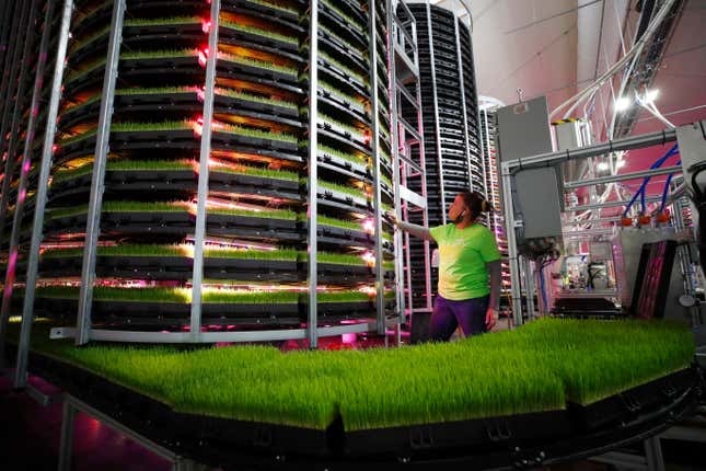 Image for article titled Vertical farming: Controlled worlds