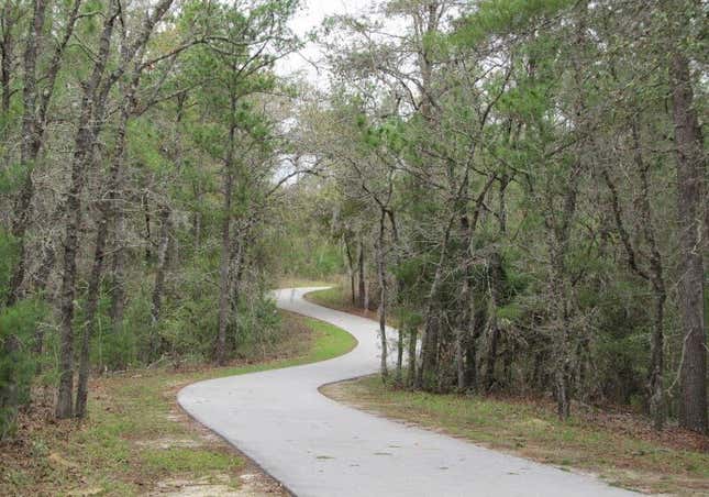 Image for article titled The 10 best cities in America for running a marathon