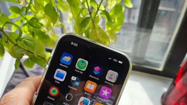 An iPhone 14 Pro showing 5G connection in front of a window and plant.