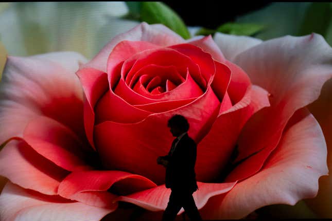 FILE - A man walks in front of an image of a flower created with artificial intelligence by artist Refik Anadol ahead of the World Economic Forum in Davos, Switzerland, Jan. 14, 2024. European Union lawmakers are set to give final approval to the 27-nation bloc&#39;s artificial intelligence law Wednesday, putting the world-leading set of rules for the fast-developing technology on track to take effect later this year. (AP Photo/Markus Schreiber, File)