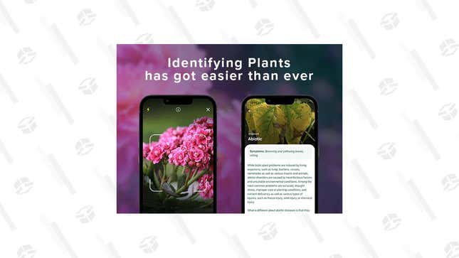 NatureID Plant Identification Premium Plan: Lifetime Subscription | $20 | StackSocial