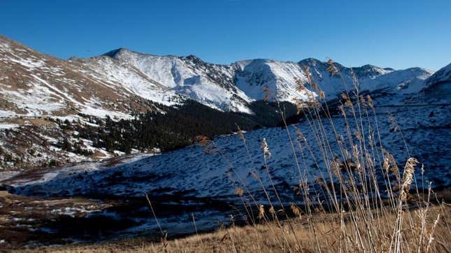 A mountain meadow in Summit County, Colorado in 2021.