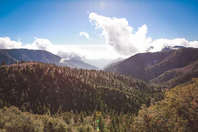 Mountain Landscape shot in California. San Bernardino Mountains in San Bernardino National Forest.