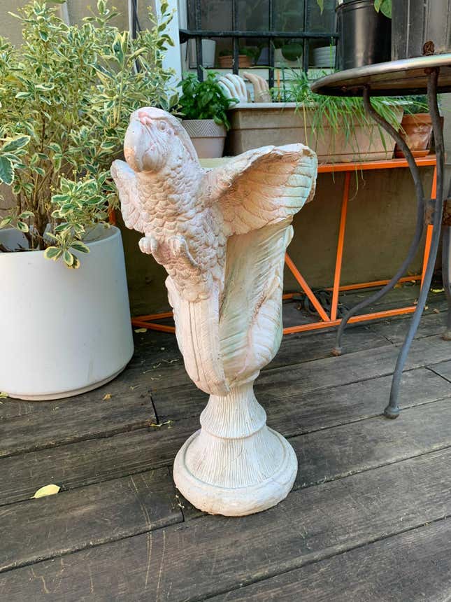 Image for article titled My One Passion in Life is Getting Beautiful Things For Free, Like This Parrot (??) Funeral Urn (??)