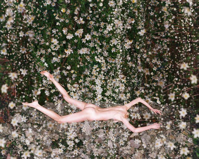 A naked woman seemingly falls in a field of white flowers.