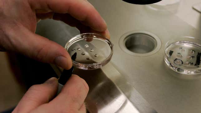 A scientist holding a dish with human embryos at the La Jolla IVF Clinic February 28, 2007 in La Jolla, California.