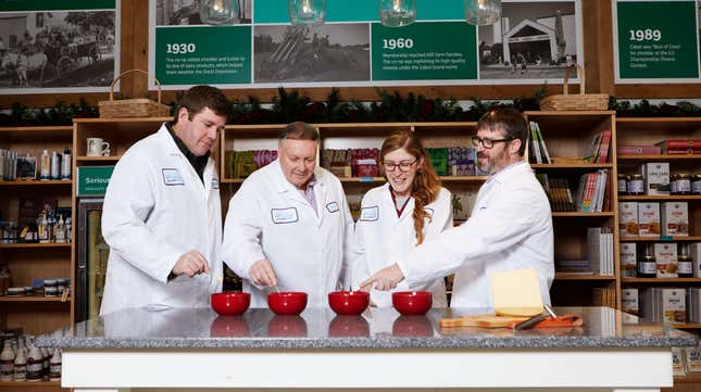 Team of cheese graders testing different cheeses