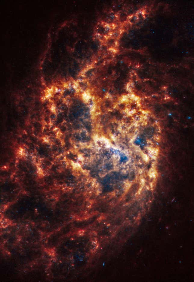 Image for article titled See Webb Telescope's 'Mind-Blowing' Collection of Spiral Galaxy Images