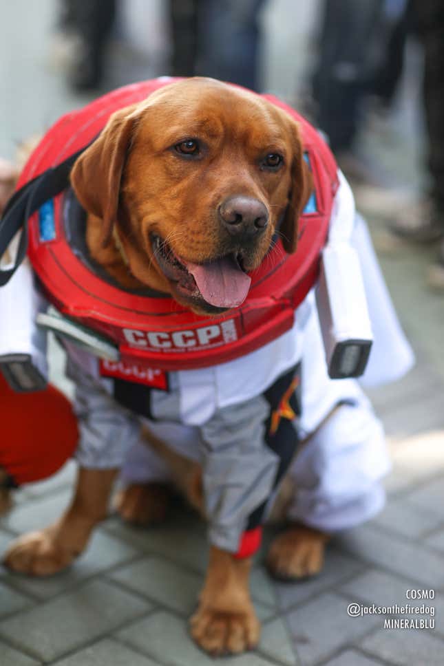 Image for article titled Our Favorite Cosplay From WonderCon 2023