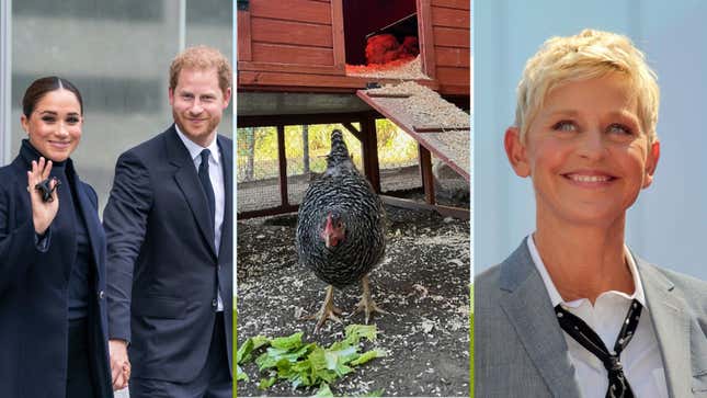 Image for article titled Ellen Degeneres&#39; Hen Has Gone Home to Roost With the Duke and Duchess of Sussex