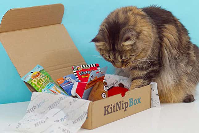 KitNipBox Monthly Cat Subscription Box | $13 | Amazon Gold Box