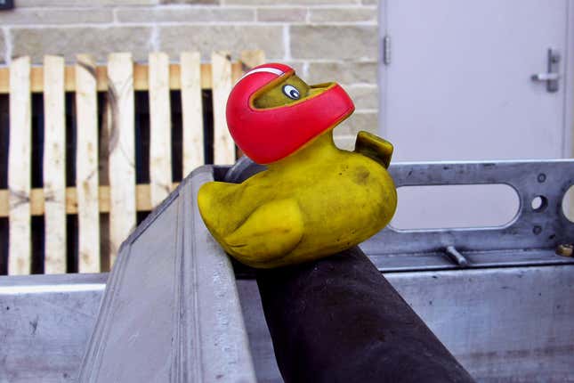 For one IMSA team in 2015, this duck was an essential.