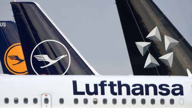 Image for article titled Lufthansa Pilots to Stage 24-Hour Strike After Being Denied Pay Increase