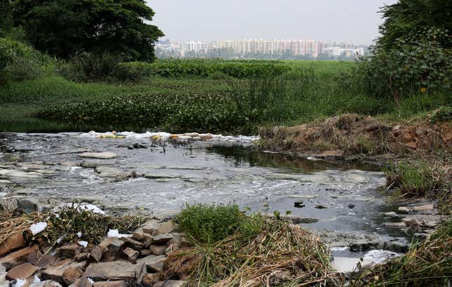 India-Bangalore-Lakes