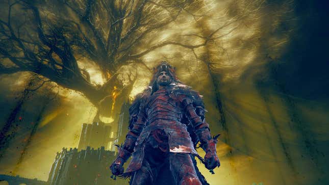 The player character in Shadow of the Erdtree stands before a massive tree.