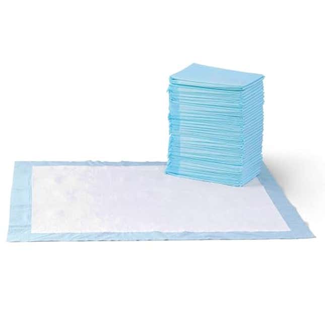 Image for article titled Amazon Basics Puppy Pads with Quick-Dry 5-Layer Leak-Proof Design for Potty Training, Now 20% Off