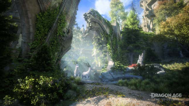 A forest area in Dragon Age: The Veilguard.