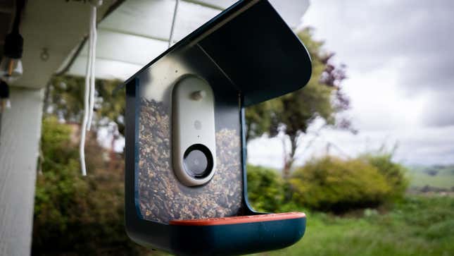 Bird Buddy Smart Bird Feeder review: A camera that's not just for