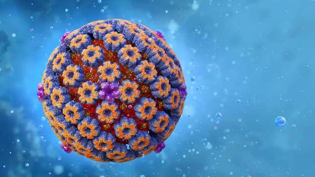 A illustration of a herpes simplex virus.