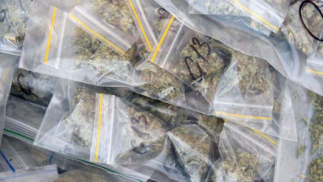 A photo of a pile of small bags filled with marijuana 