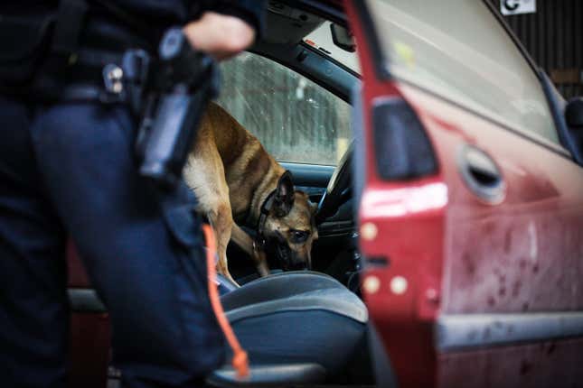 Image for article titled Sheriff’s Falsified Drug Test Leads to Unwarranted Strip Search of Two Men