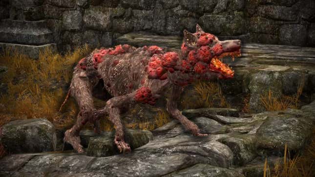A bleeding, boil-covered dog barking in a ruined city.