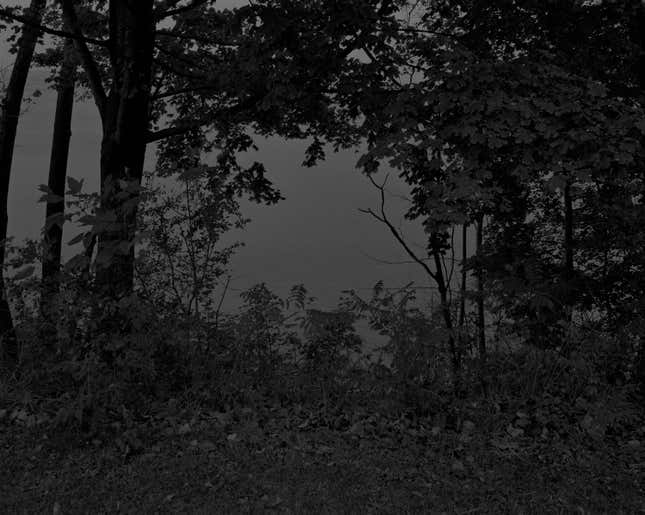 Untitled #24 (At Lake Erie)