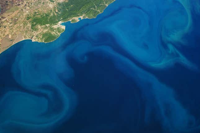 Image for article titled The surreal swirls of ocean plankton blooms, seen from space