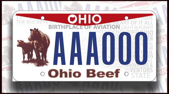 Image for article titled These Are The Dumbest License Plate Designs In Your State