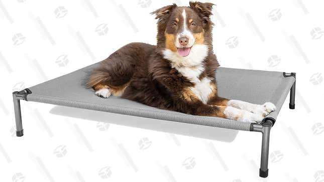 Hyper Pet Elevated Dog Bed | $45 | Amazon | Clip Coupon