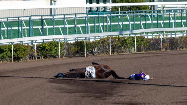 Fast Pace dislodges jockey Hugh Bowman during the Race 5 Holly Handicap (Class 4) at Sha Tin Racecourse on December 24, 2022 in Hong Kong.