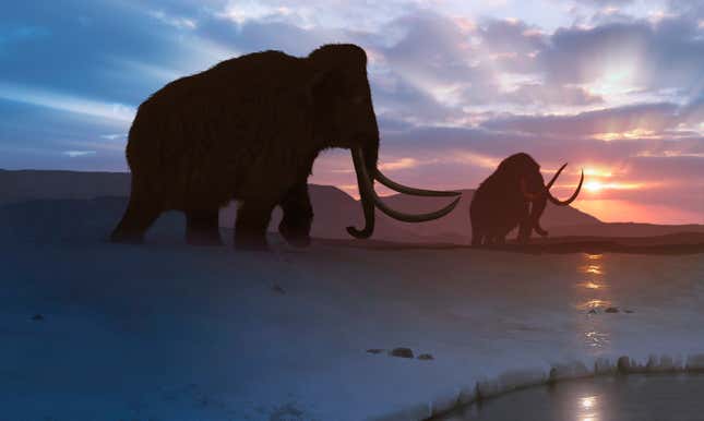 Artwork of the woolly mammoth (Mammuthus primigenius), or tundra mammoth.