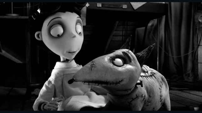 Frankenweenie looks at his owner. 