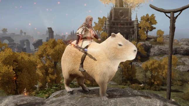 A tarnished sitting on a giant capybara 