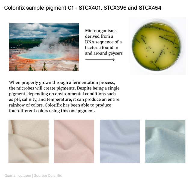 Colorifix pigment based on geyser bacteria