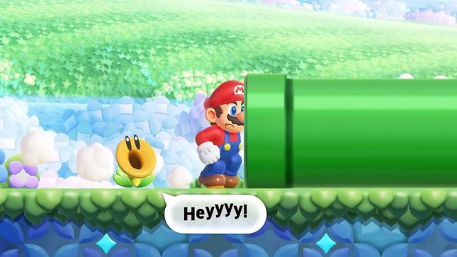 The image shows Mario walking past the Talking Flower. 