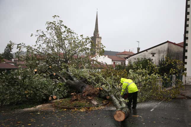 A man saws a tree that fell on a parking lot Thursday, Nov. 2, 2023 in Hasparren, southwestern France. Winds up to 180 kilometers per hour (108 mph) slammed the French Atlantic coast overnight along with violent rains and huge waves, as Storm Ciaran uprooted trees, blew out windows and left 1.2 million households without electricity. (AP Photo/Bob Edme)